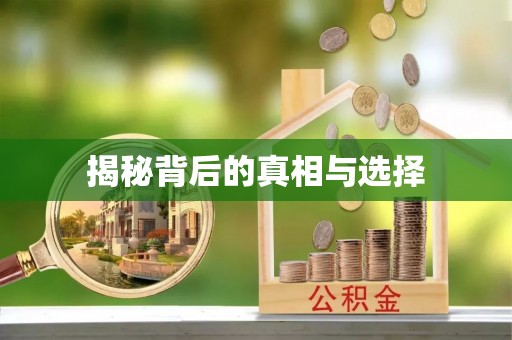 上栗揭秘背后的真相与选择