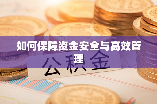 上栗如何保障资金安全与高效管理