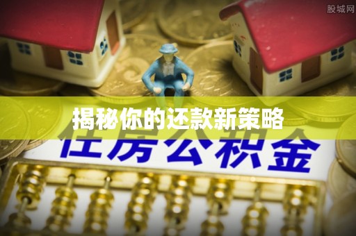 上栗揭秘你的还款新策略