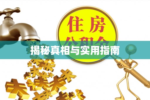 上栗揭秘真相与实用指南