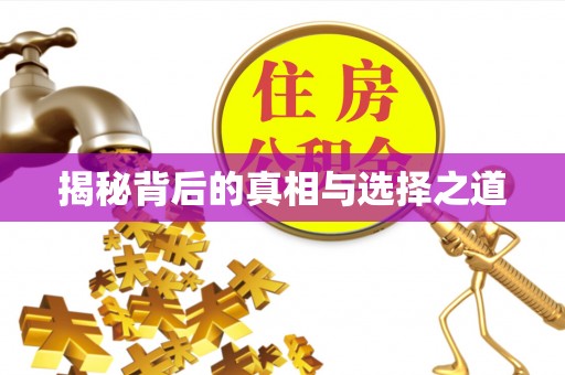 上栗揭秘背后的真相与选择之道