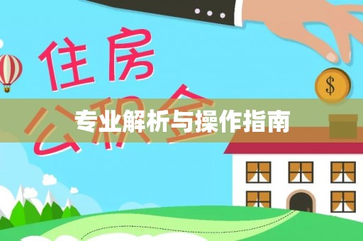 上栗专业解析与操作指南