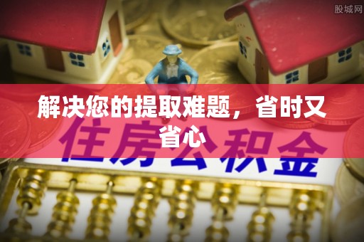 上栗解决您的提取难题，省时又省心
