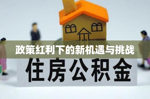 上栗政策红利下的新机遇与挑战