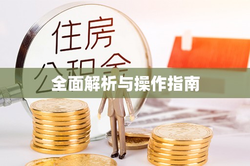 上栗全面解析与操作指南