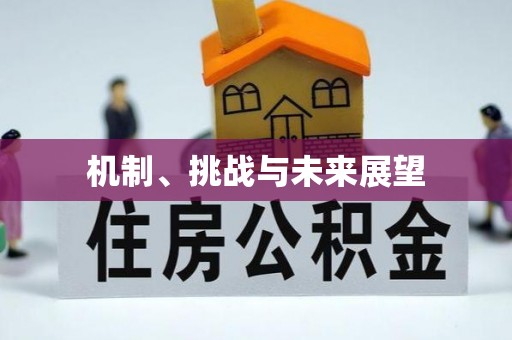 上栗机制、挑战与未来展望