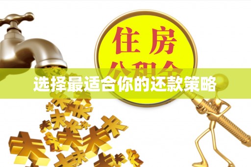 上栗选择最适合你的还款策略