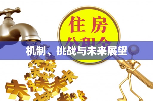 上栗机制、挑战与未来展望